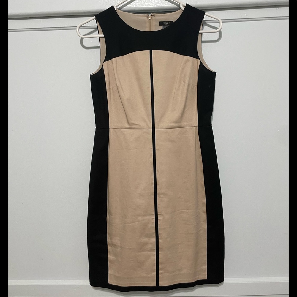 Ann Taylor Dress (Cream/Beige and Black)